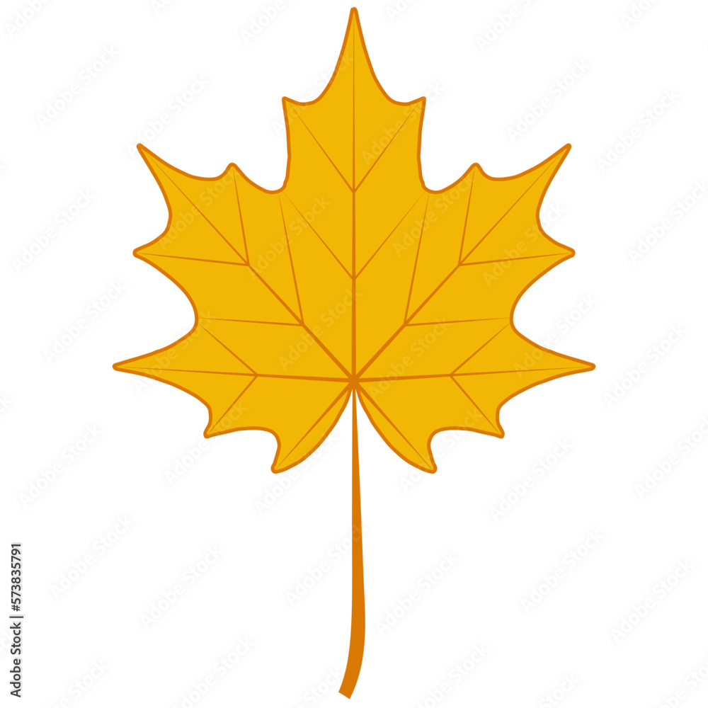 Obraz premium Autumn dry maple leaf, symbol Canada maple autumn fallen leaf