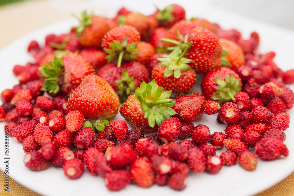 Ripe juicy strawberries on a white plate - harvest of berries in the garden Ripe juicy strawberries on a white plate - harvest of berries in the garden