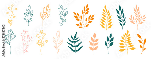 Set of leaves. Tropical plants. Herbarium. Perfect for herbal products designs.