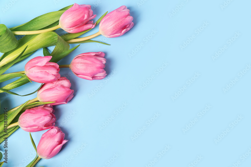 Blooming tulip flowers on blue background Blooming tulip flowers on blue background