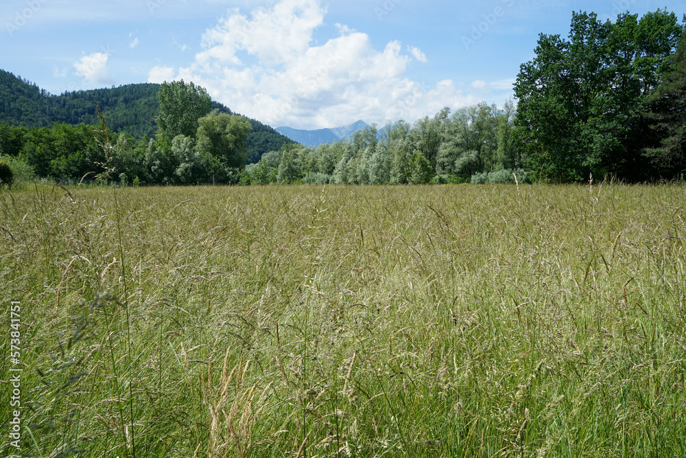 Landscape in carinthia, austria Landscape in carinthia, austria