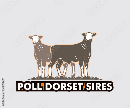 POLL DORSET SIRES BREEDS SHEEP LOGO, silhouette of great sheep meat producer vector illustrations