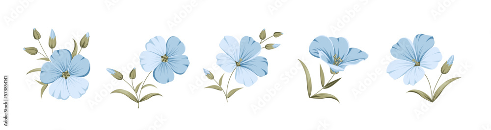Naklejka premium Vector illustration linen flowers. Isolated white background. Individual elements drawn flax.