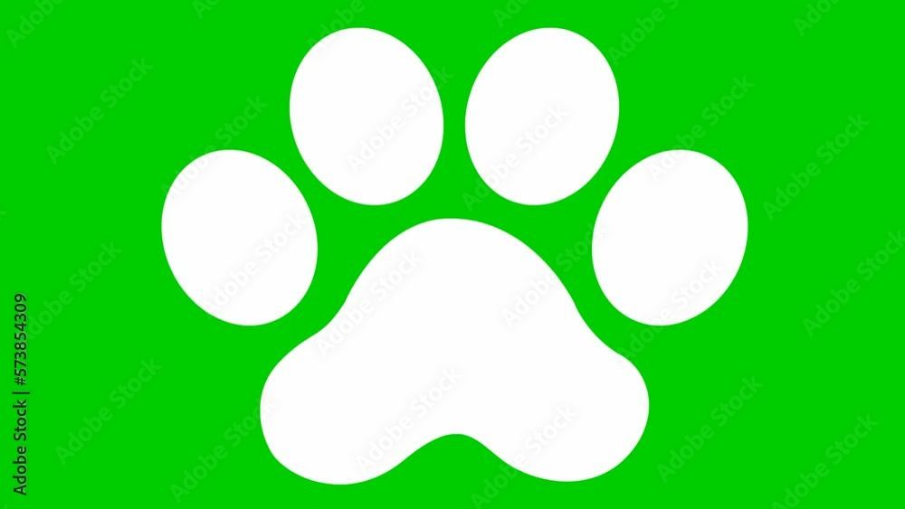 Animated cat white footprint. A cat's paw print appears. Looped video. Vector flat illustration isolated on the green background Animated cat white footprint. A cat's paw print appears. Looped video. Vector flat illustration isolated on the green background