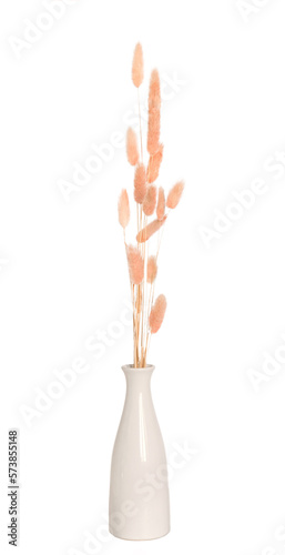 bunch of dried bunnytail flower (Lagurus ovatus) in a white ceramic vase, isolated. Simple and minimal home decoration. 