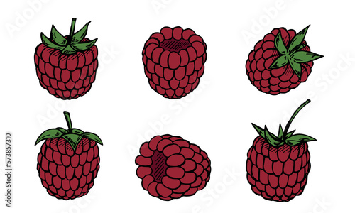 Vector set of raspberry cliparts. Hand drawn berry icon. Fruit illustration. For print, web, design, decor, logo.