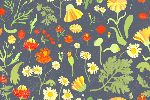 Seamless pattern with hand drawn garden flowers