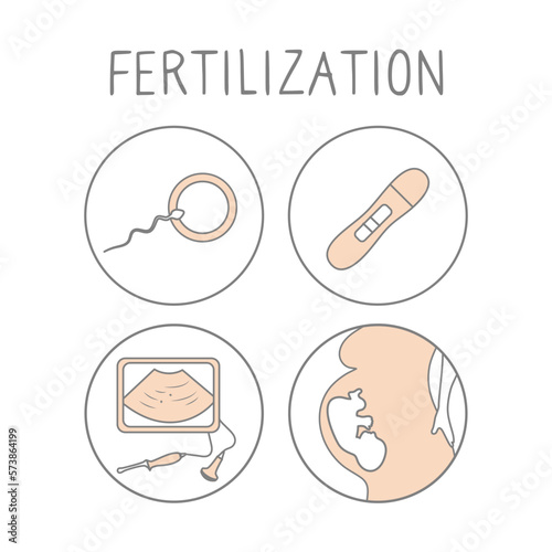 Fertilization icon set. Linear simple illustration pregnancy and childbirth. Motherhood signs. Vector