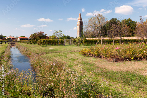 Mazzorbo, Venezia. Vigneto della Venissa con la Torre di Santa Caterina photo