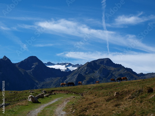 Caballos