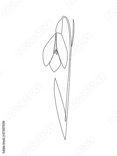 Snowdrop with leaves one line drawing.Continuous line drawing of flower.Hand drawn snowdrop.Single one line flower snowdrop.Flower outline sketch.