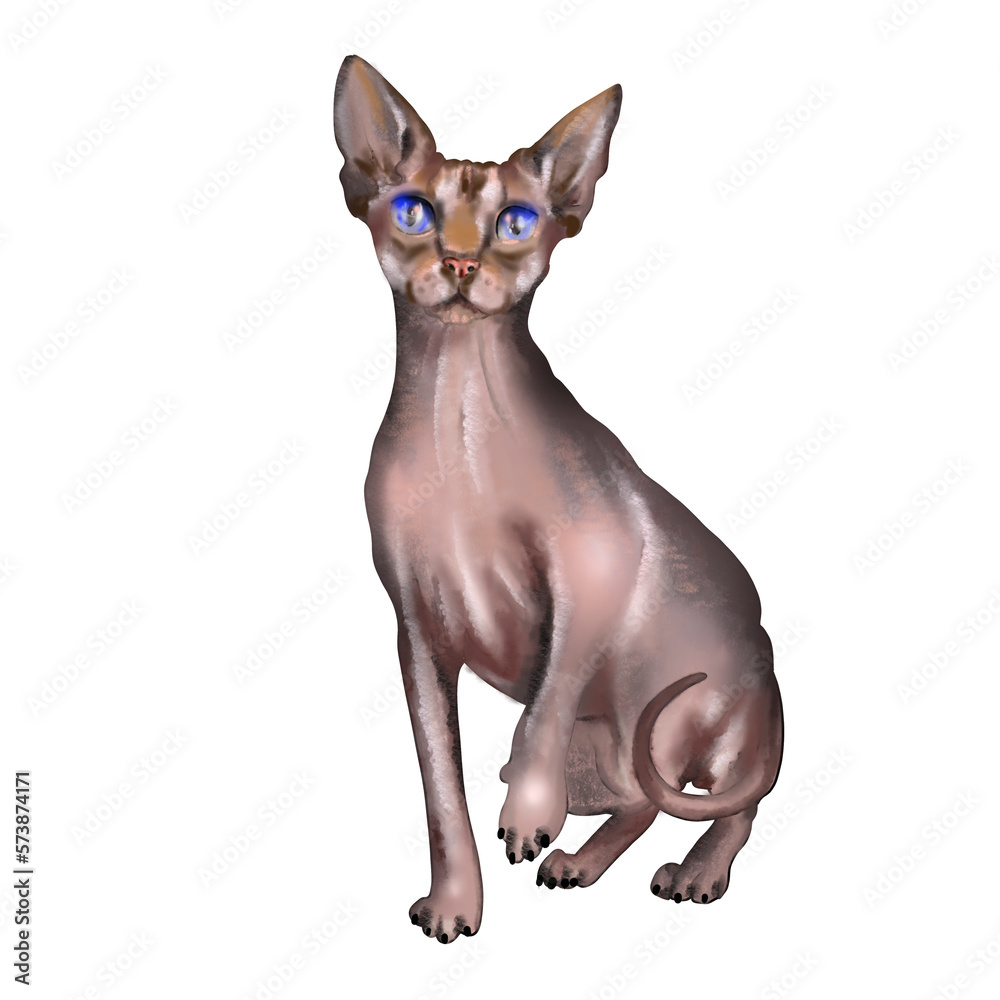 Cute watercolor Sphynx cat Illustration png