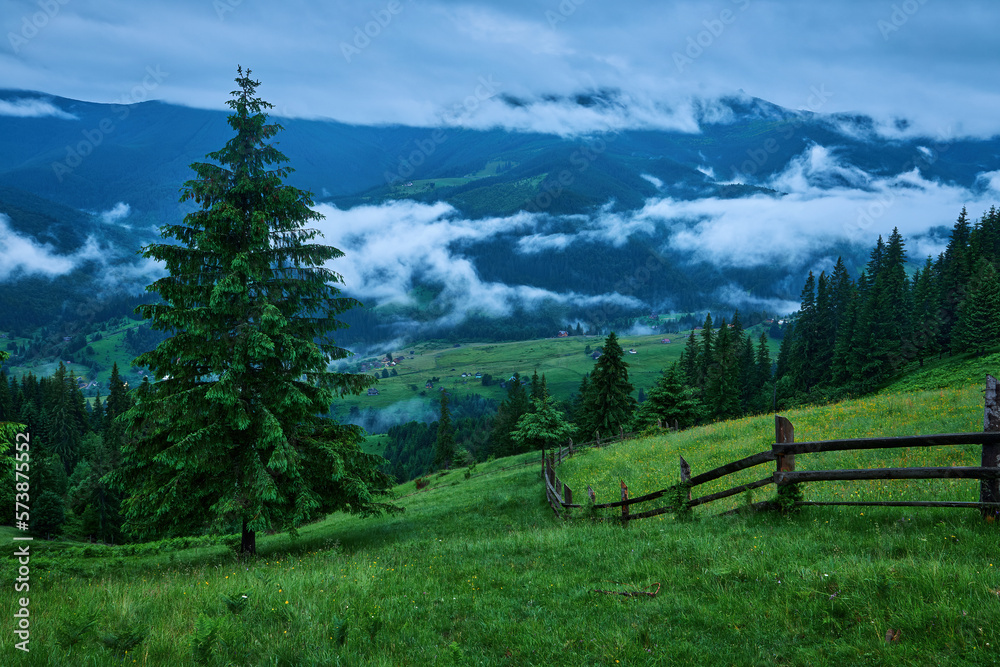 Idyllic landscape in the Alps with fresh green meadows and blooming flowers Idyllic landscape in the Alps with fresh green meadows and blooming flowers