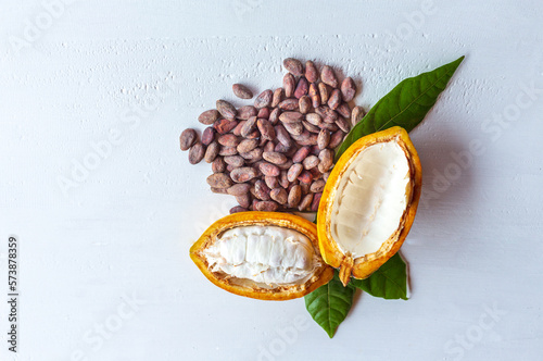 Top view of ripe fresh slide cocoa pods, half in cut cocoa fruit, and dry brown cocoa beans with green cacao leaf on white wooden background