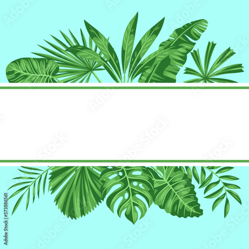Background with stylized palm leaves. Image of tropical foliage and plants.