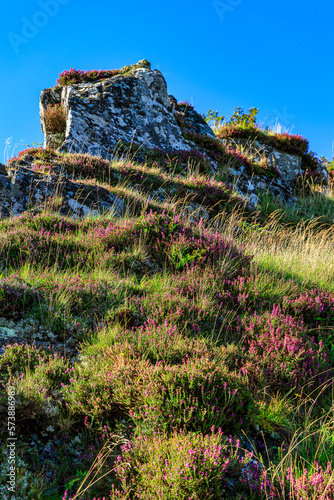 Fort Dalriada, Argyll, Scotland photo