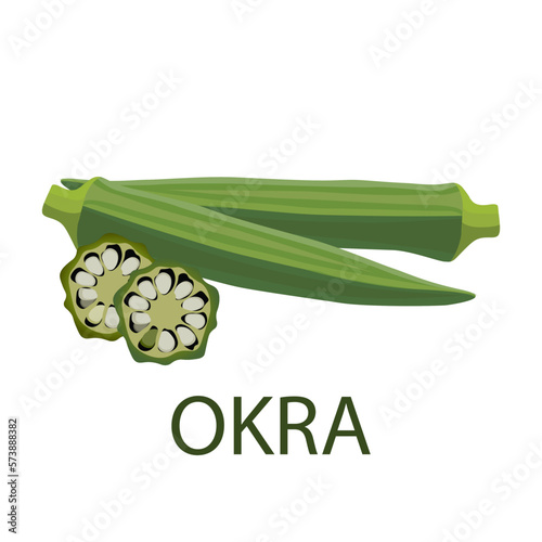 okra vector illustration vector on white background photo