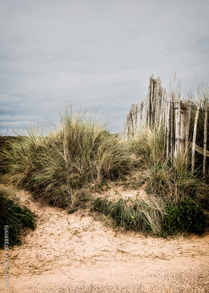 A Picket Fence & Sand Dunes On The Seafront At Dawlish Warren, Devon