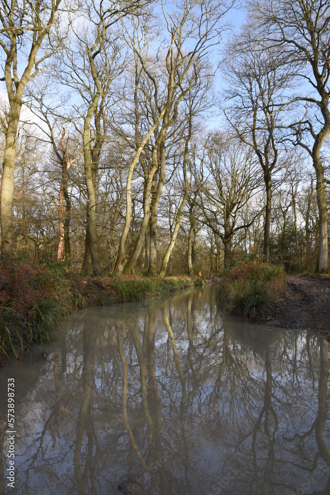 a muddy flooded track through the Malvern hills a muddy flooded track through the Malvern hills