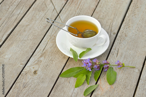 Fresh green sage bunch closeup. Healthy sage herbal tea cup, green leaf of salvia officinalis and tea kettle on wooden table.
