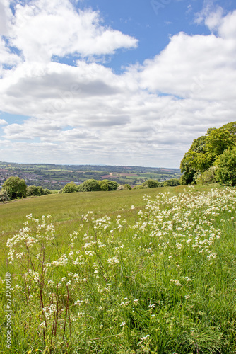 Summertime landscape in the English countryside. photo