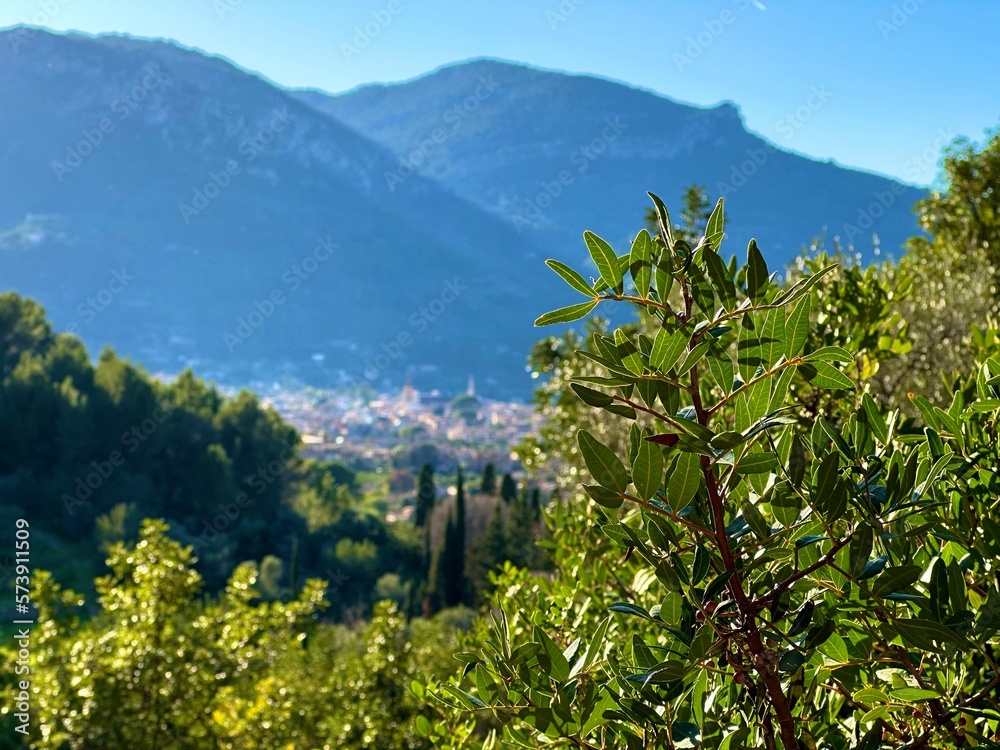 Nature and mountains in the town of Soller