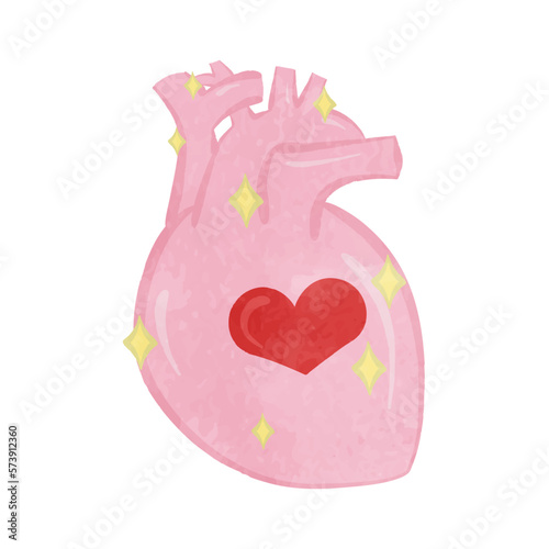 Illustration of a heart with a heart