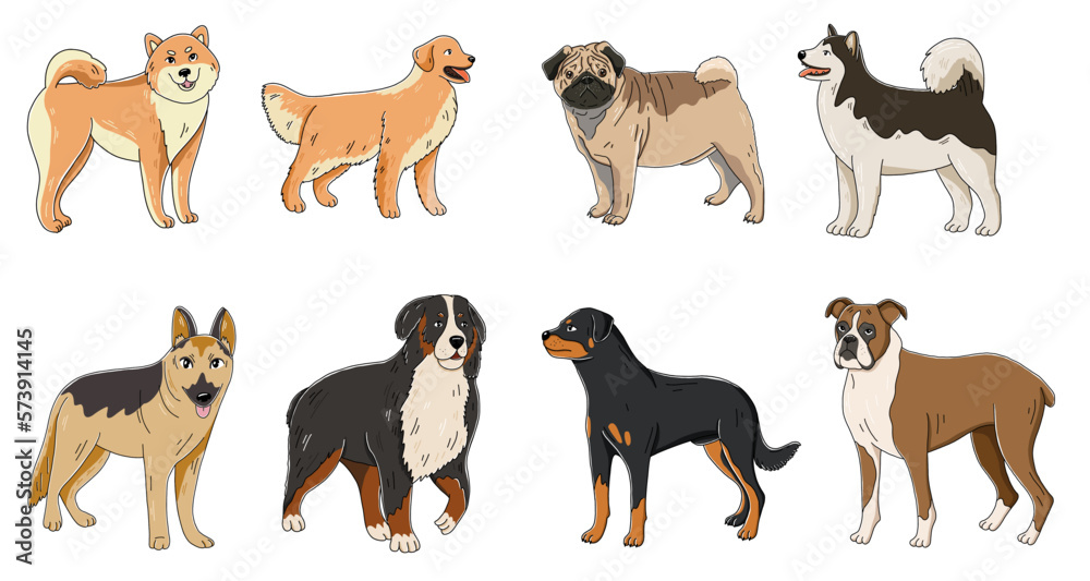 Hand drawn colorful dogs collection. Set of vector illustration with dog breeds isolated on white background