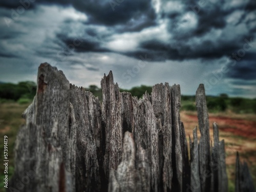 Wooden fence in the countryside