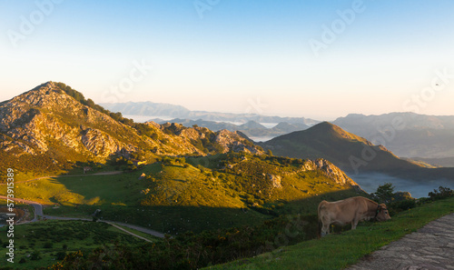 views of Sunset of national park peaks of europe