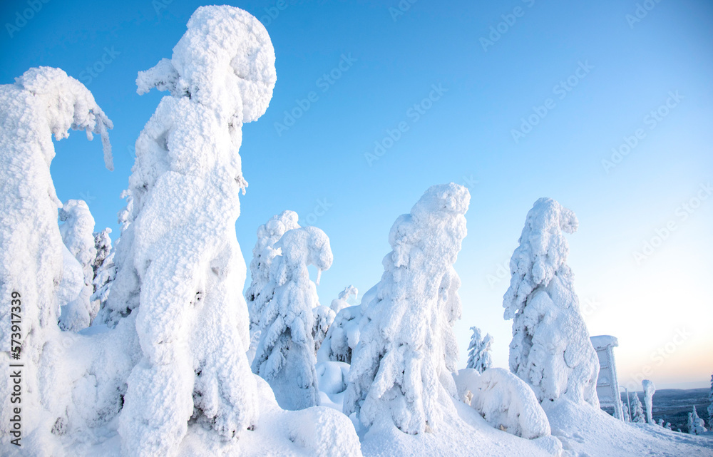 Arctic landscape with frozen trees in Lapland Finland