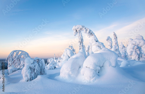 Arctic landscape with frozen trees in Lapland Finland © citikka