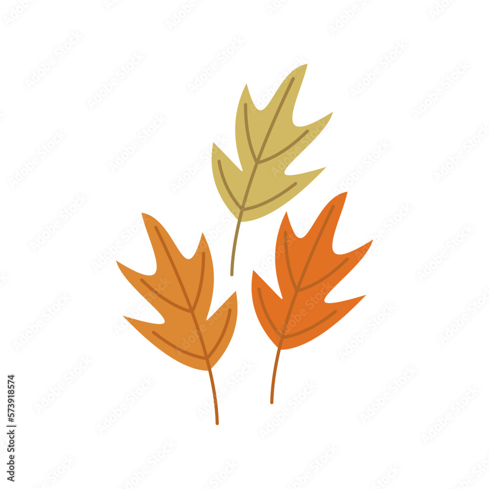 Autumn Leaves Illustration Autumn Leaves Illustration