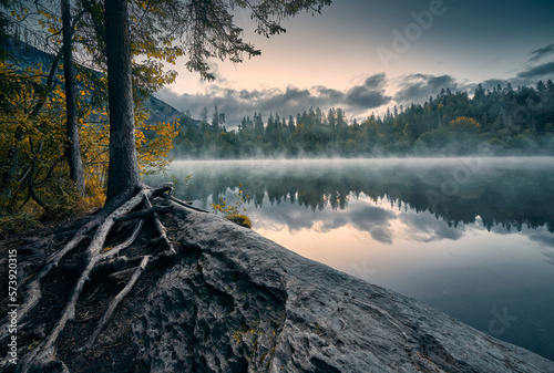 Verwurzelt am Crestasee. Malerische Morgenstimmung mit leichtem Nebel über dem Wasser. Die Baumwurzeln führen den Blick zum leichtem Morgenrot am Horizont. photo