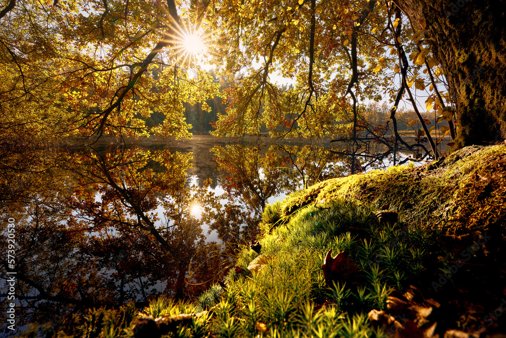 Obraz premium Moorsee am Abend