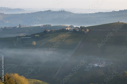 Autumn view.
View of hills with vines immersed in a light fog at dawn in autumn season. Piemonte, Langhe area.