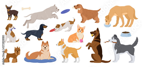 Cartoon purebred dogs. Happy active puppies, sleeping, playing and eating domestic dogs, corgi and husky cute pets flat vector illustration set. Dogs animal characters