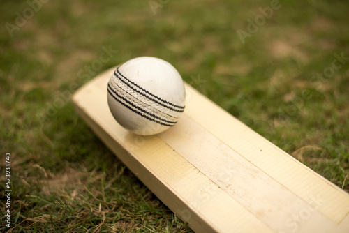 Close-up of cricket white ball on cricket bat against green grass pitch. photo