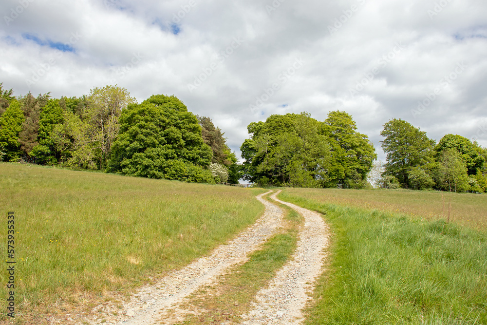 Walking tracks in the summertime hills of England. Walking tracks in the summertime hills of England.