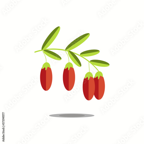 Goji berry vector illustration design