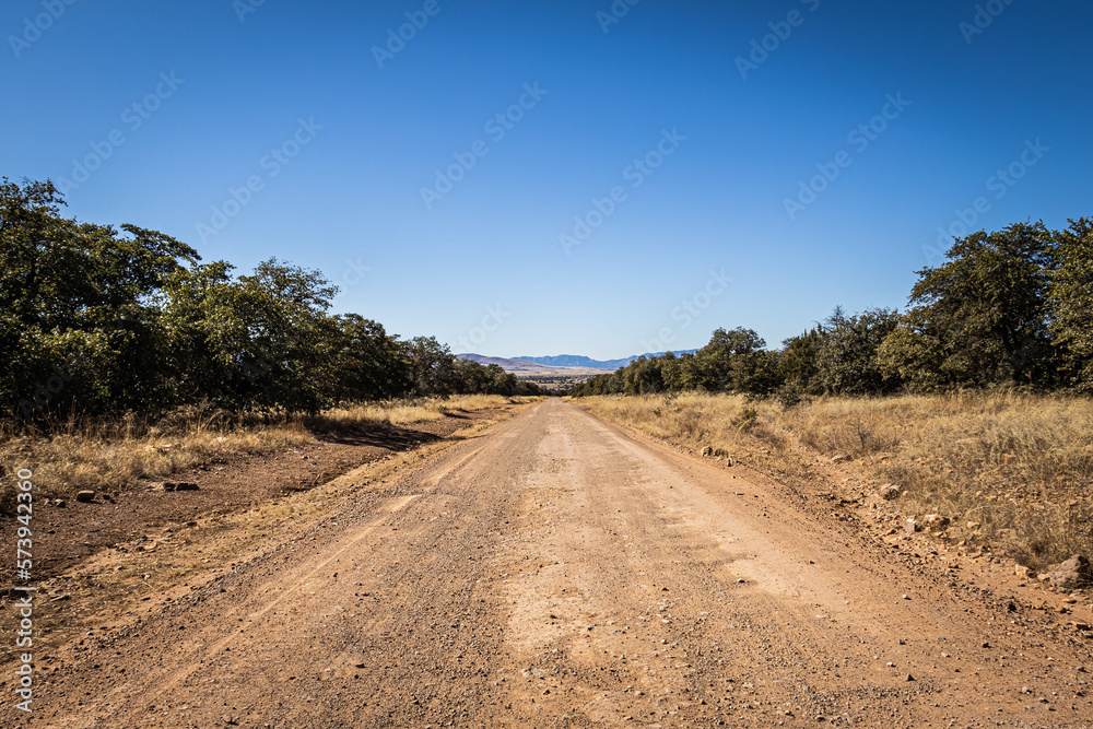 A dirt road leading off into the distance to mountains on the horizon under a clear blue sky.