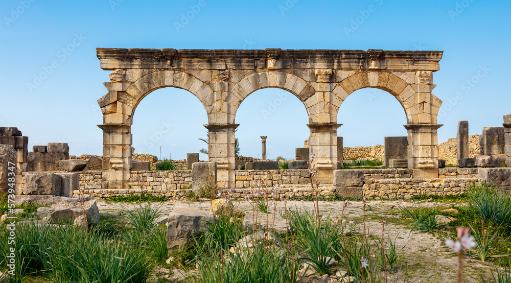 Roman ruins of Volubilis- Meknes province in Morocco