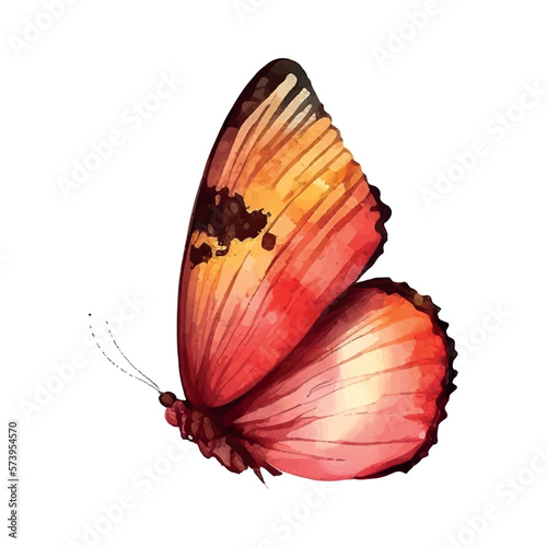 orange yellow butterfly watercolor isolated on a white background
