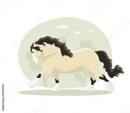 Galloping Tinker stallion, vector illustration