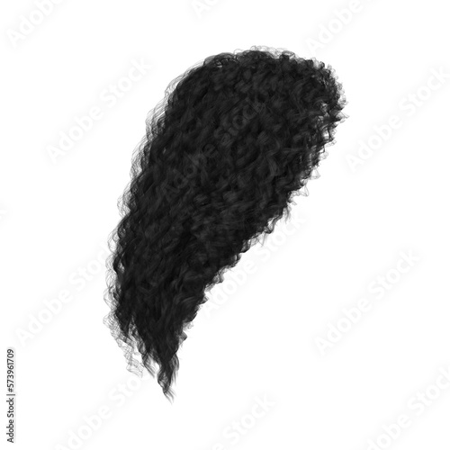 3d rendering curly black dark hair isolated 