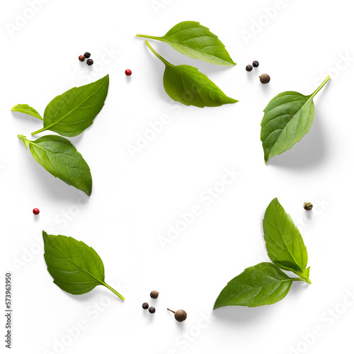 Fotografi seasoning herb fresh leaves basil isolated on transperent background
