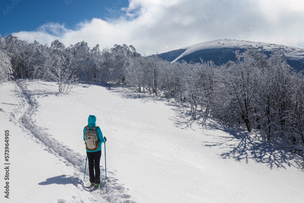 hiker girl stands in mountain glade admiring panorama of snowy mountains with frozen vegetation