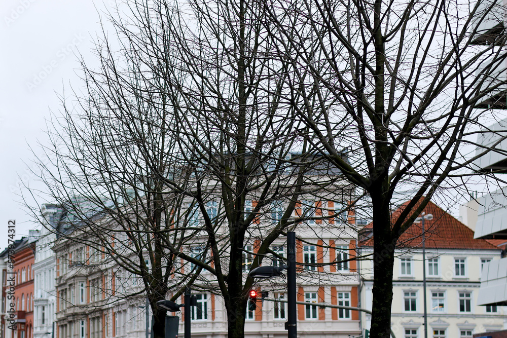 European buildings through trees in winter