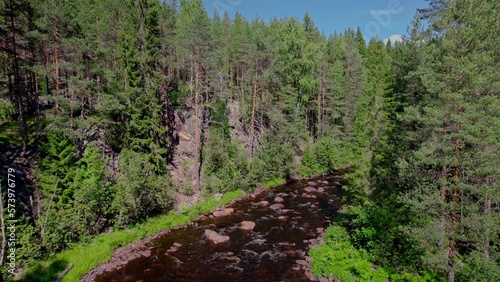 Nordic forest river landscape. evergreen pine trees on the mountain cliff. In the Swedish untouched wilderness. Ambj  rby V  rmland Sweden