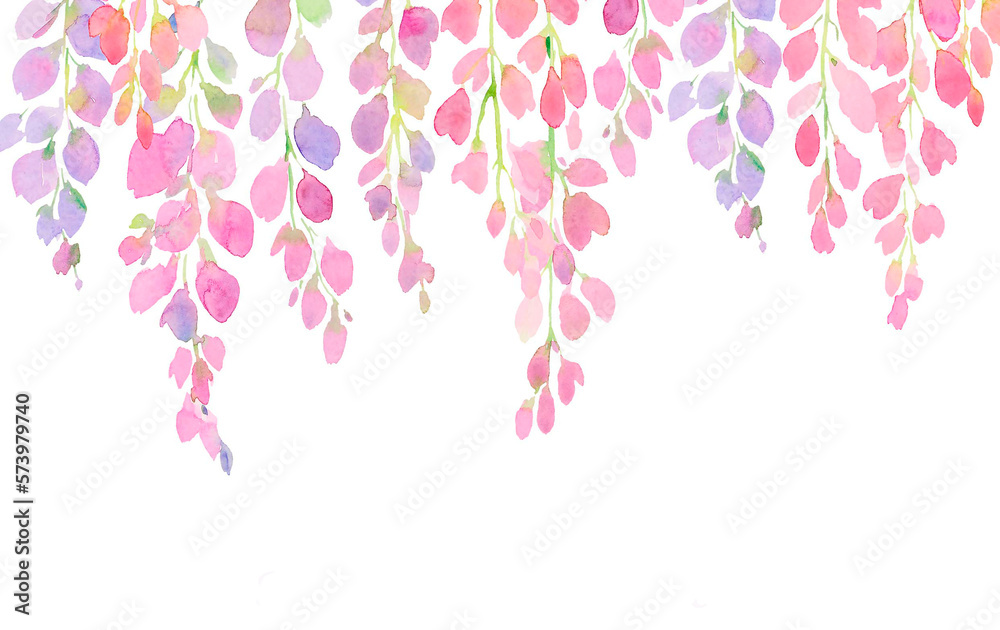Φωτογραφία violet and pink wisteria flowers, watercolor hand painting on white background,